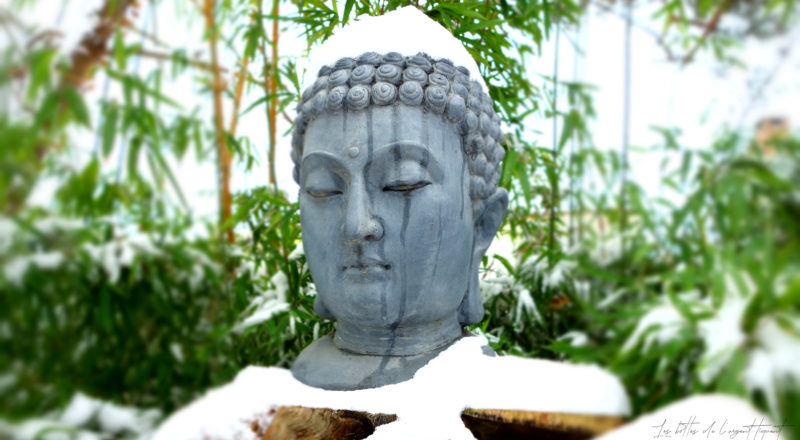De la neige sur Bouddha