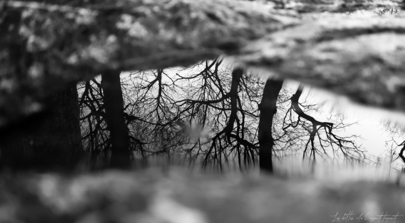 Un reflet dans une flaque