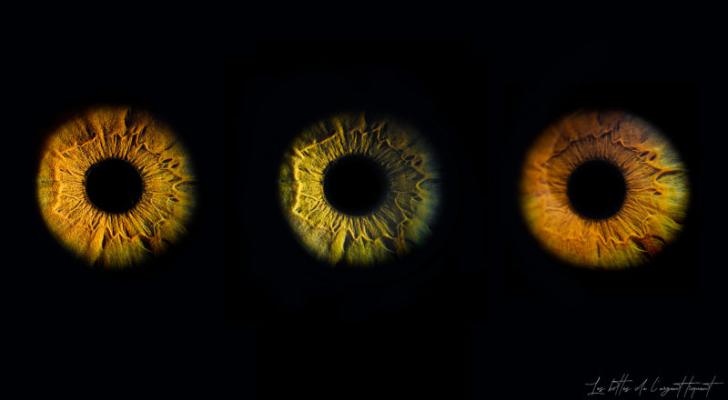 Mes yeux