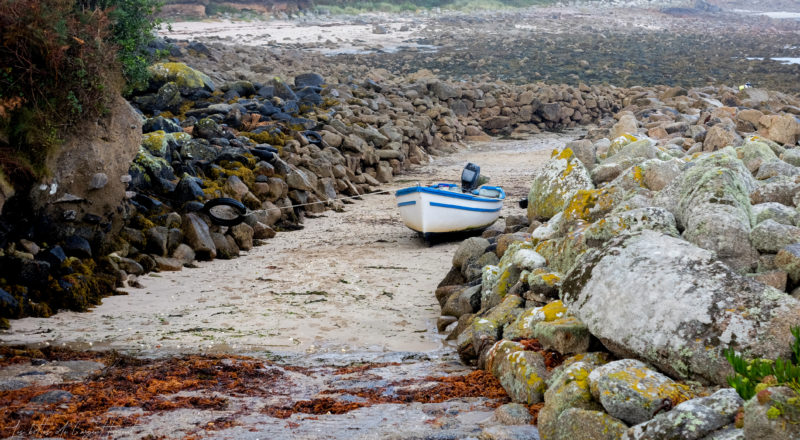 Une barque à marée basse