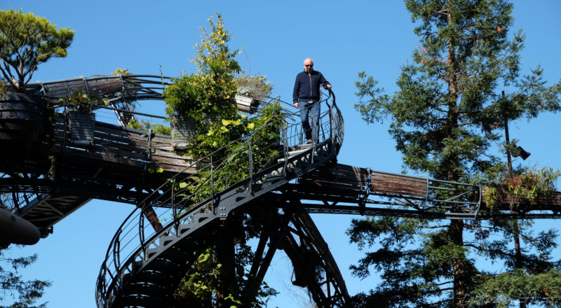 Un mec sur l'arbre aux Hérons